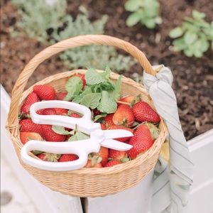 Jilly box Camilia Suppy Flower Snips